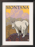 Mountain Goat, Montana Art