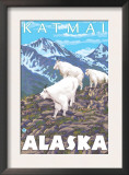 Mountain Goats Scene, Katmai, Alaska Prints by Lantern Press 
