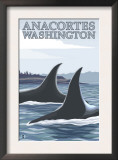 Orca Whales 1, Anacortes, Washington Prints by Lantern Press 