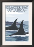 Orca Whales 1, Glacier Bay, Alaska Art by Lantern Press 