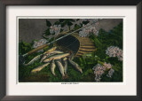 Maine - View of a Nice Catch of Maine Lake Trout Art