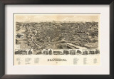Roanoke, Virginia - Panoramic Map Poster