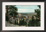 Spokane, Washington - View of City Through the Trees Prints