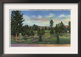 Spokane, Washington - Upper Terrace View of Greenwood Cemetery Prints