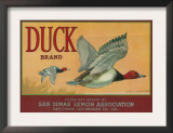 Duck Lemon Label - San Dimas, CA Posters