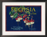 Fuchsia Lemon Label - La Verne, CA Prints