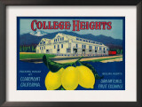 College Heights Lemon Label - Claremont, CA Poster