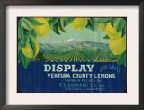 Display Lemon Label - Ventura, CA Prints