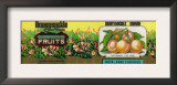 Honeysuckle Cherry Label - San Francisco, CA Prints