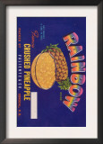 Rainbow Pineapple Label - Corozal, PR Art