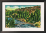 Spokane River and Suspension Foot Bridge, WA - Spokane, WA Posters