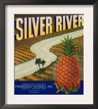 Silver River Pineapple Label - Manati, PR Prints