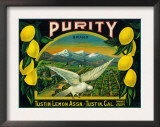 Purity Lemon Label - Tustin, CA Prints