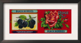 Rose Blackberry Label - San Francisco, CA Prints
