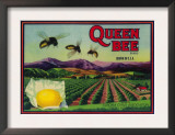Queen Bee Lemon Label - Corona, CA Posters