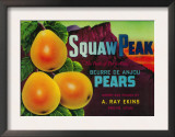 Squaw Peak Pear Crate Label - Provo, UT Posters