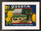Questa Lemon Label - Corona, CA Poster