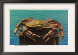 Dungeness Crab on Hood Canal - Hood Canal, WA Prints