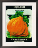 Squash Seed Packet Posters