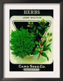 Herbs Seed Packet Prints