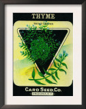 Thyme Seed Packet Posters
