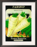 Parsnip Seed Packet Posters