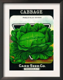 Cabbage Seed Packet Prints