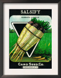 Salsify Seed Packet Posters