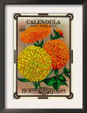 Calendula Seed Packet Prints