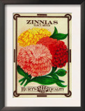 Zinnias Seed Packet Posters