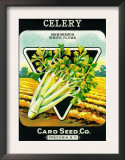 Celery Seed Packet Prints
