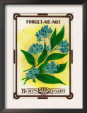 Forget Me Not Seed Packet Posters