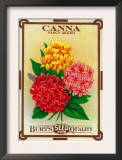 Canna Seed Packet Prints