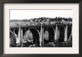 View of the Hangman Bridge - Spokane, WA Art