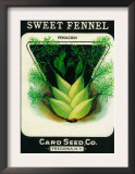 Sweet Fennel Seed Packet Prints