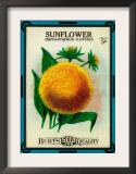 Sunflower Seed Packet Prints