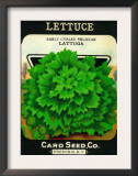 Lettuce Seed Packet Print