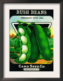 Bush Beans Seed Packet Poster