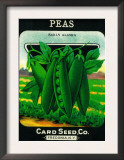 Peas Seed Packet Prints