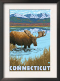 Connecticut - Moose Drinking in Lake Prints