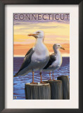 Connecticut - Sea Gulls Scene Prints
