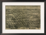Anniston, Alabama - Panoramic Map Print