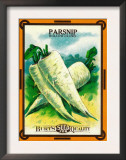 Parsnip Seed Packet Poster