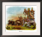 Sport - Mardi Gras Parade Float Design Prints