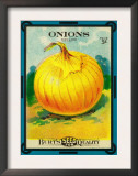 Onions Seed Packet Art