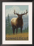 Connecticut - Elk Scene Prints