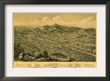 Anniston, Alabama - Panoramic Map Prints