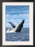 Connecticut - Humpback Whale Scene Prints