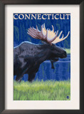 Connecticut - Moose in the Moonlight Posters
