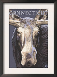 Connecticut - Moose Up Close Print